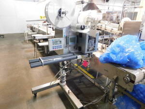 Label-Aire mod. 3138-NV, 18" SL Labeler