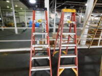 Werner 6' Fiberglass Ladders