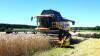 ENCAN TRANSPORT ET FERME - 3