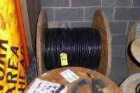 Electrical Wire