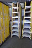 Fiberglass Step Ladders, 8' (2 Each) (Lot)