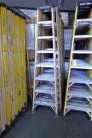 Fiberglass Step Ladders, 8' (2 Each) (Lot)
