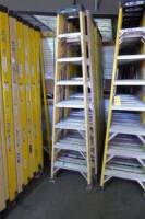 Fiberglass Step Ladders, 8' (2 Each) (Lot)