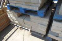 Blocks, Asst.
