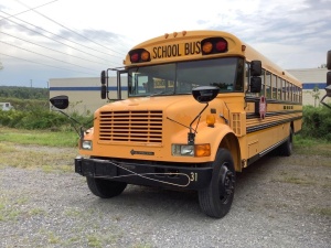 1996 International Bluebird 3800 T444E School Bus(Unit#31)